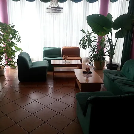 Zeleni Kakadu Maribor