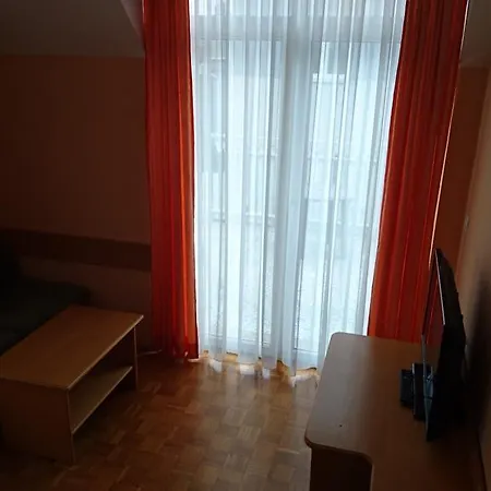 Zeleni Kakadu Maribor