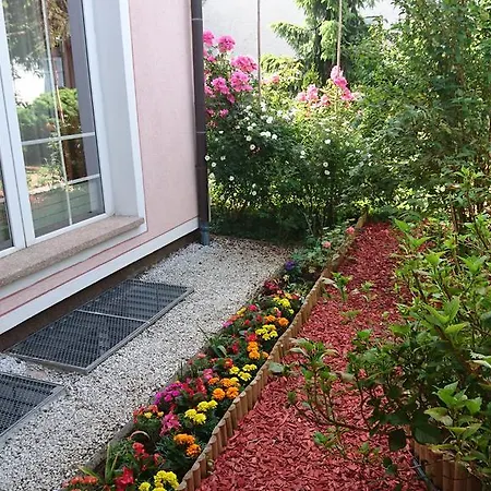 Zeleni Kakadu マリボル