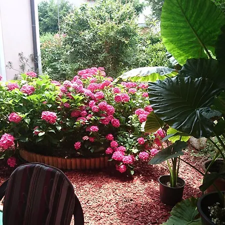 Oda ve Kahvaltı Zeleni Kakadu