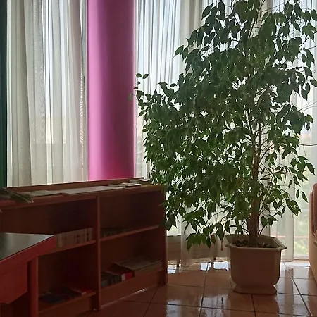 Zeleni Kakadu Oda ve Kahvaltı