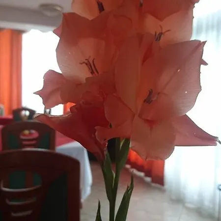 Zeleni Kakadu Oda ve Kahvaltı Maribor