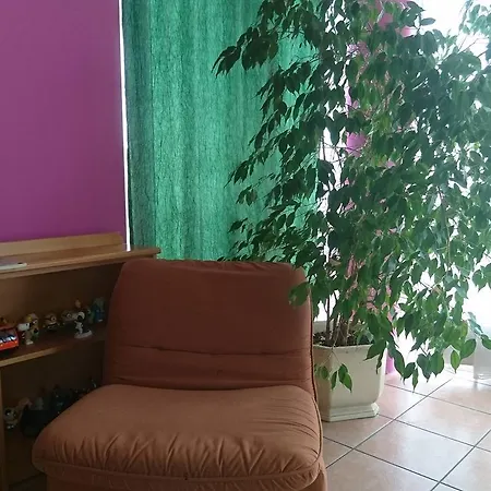 Zeleni Kakadu *
