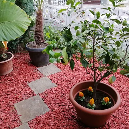 Bed & Breakfast Zeleni Kakadu