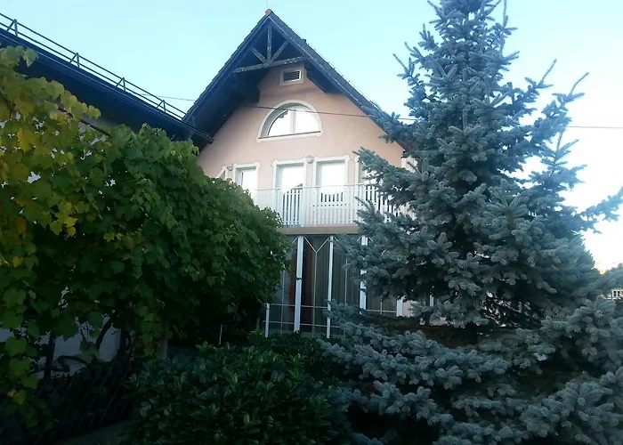 Zeleni Kakadu Nocleg ze śniadaniem 3*