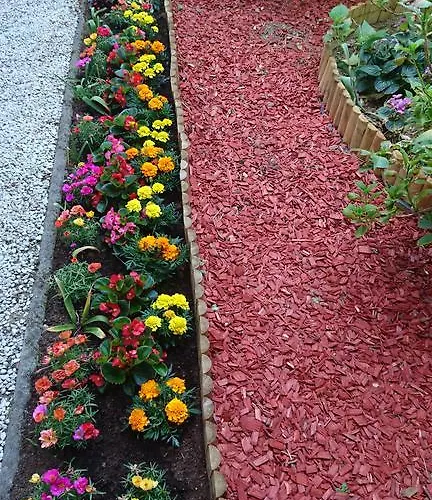 Zeleni Kakadu Nocleg ze śniadaniem