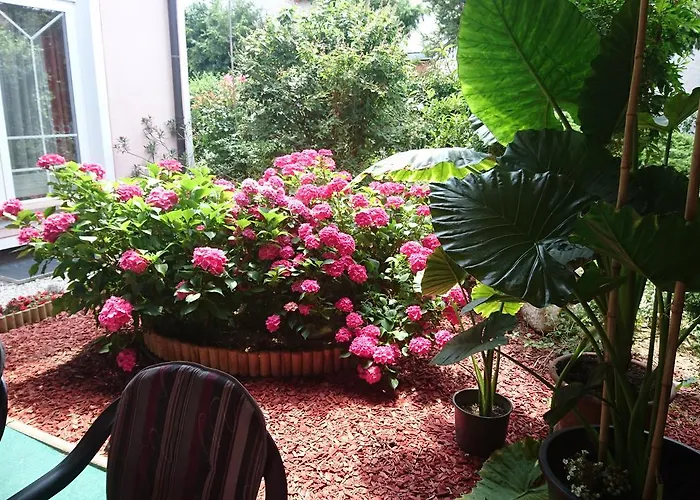 Nocleg ze śniadaniem Zeleni Kakadu