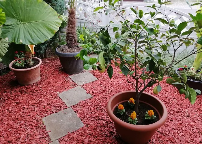 Nocleg ze śniadaniem Zeleni Kakadu